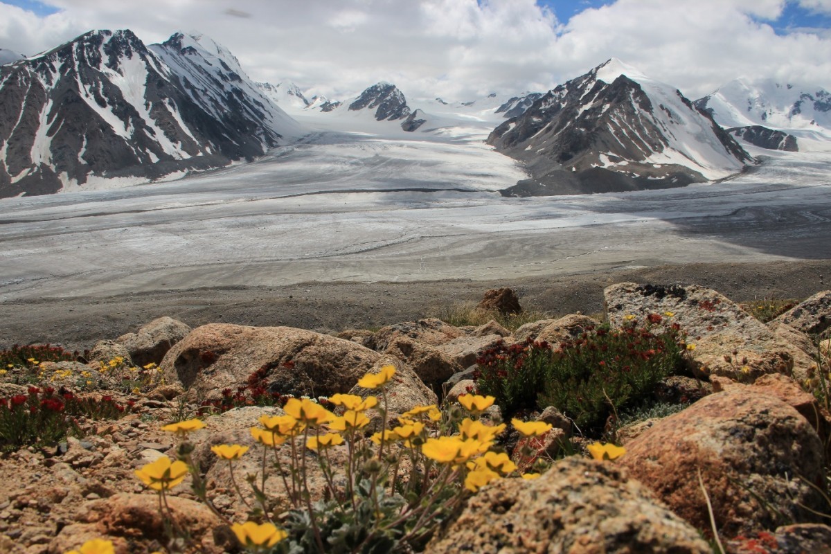 GLACIER RESEARCHES OF TAVAN BOGD MOUNTAIN RANGE