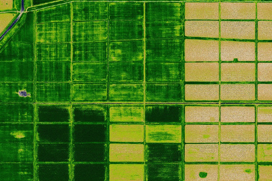 Ndvi