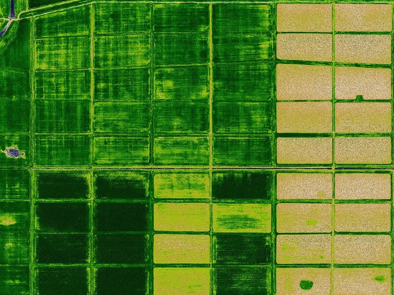 Обработка данных NDVI в ГИС «Спутник»