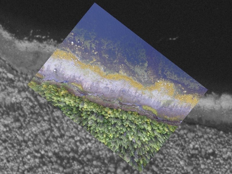 Comparative analysis of the results of mapping the White Sea littoral zone based on the material obtained by Earth observation and aerial survey with the Geoscan 401 UAV