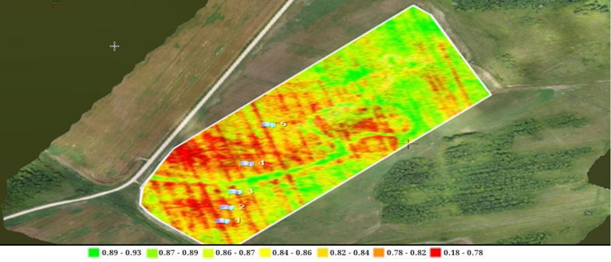 Рисунок 4. Содержание хлорофилла в растениях озимой пшеницы по данным ДЗЗ