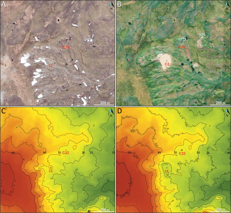 Район исследований на космоснимках QB-2 4 июля 2009 г. (А), WV-2 23 июля 2023 г. (В) (база данных ESRI) и ЦМР ArcticDEM по данным WV-1 11 сентября 2011 г. (С) и WV-2 1 июня 2023 г. (D). Обозначения: С2 и С22 — объекты взрывов газа; IO1, IO2, IO22 — обнажения подземного льда
