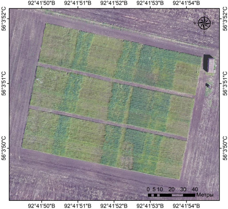 Карта опытного участка, построенная по данным съемки с Геоскана 201 (пространственное разрешение 5 см)