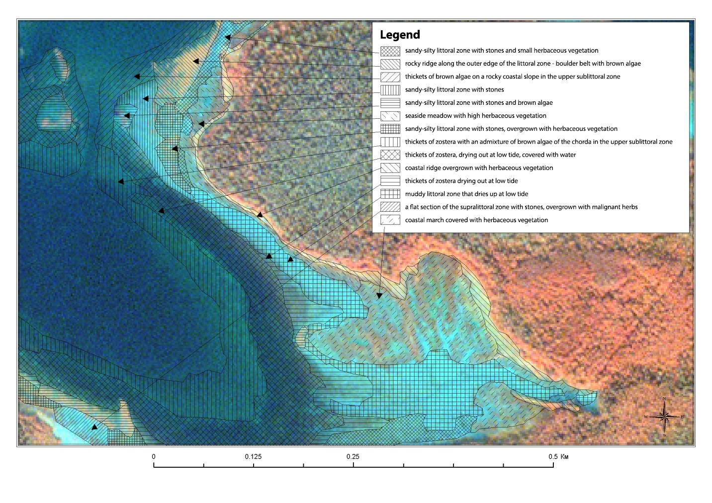 Fragment of a WorldView-2 satellite image with a NIR channel, which shows coastal areas with various soils and plant communities