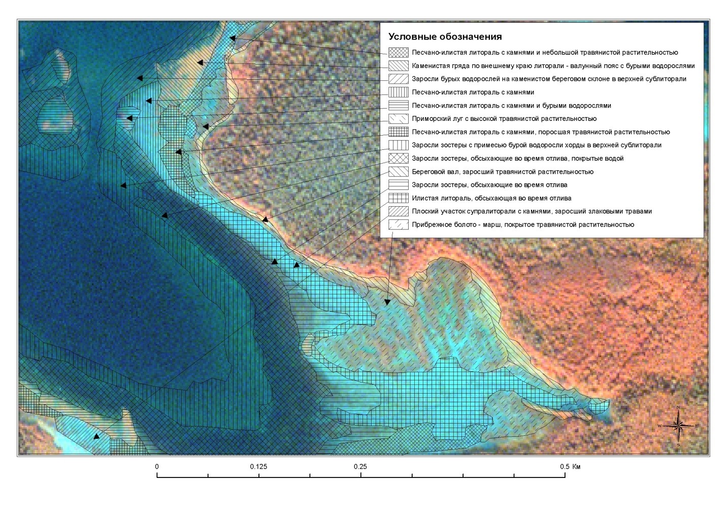 Сравнительный анализ картирования побережья Белого моря по данным  космосъемки и БПЛА 