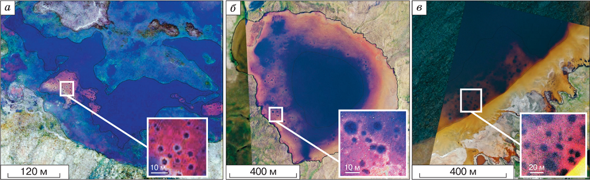 Рис. 3. Снимки БПЛА озера (части озера) с газовыми воронками с выделенными фрагментами увеличенного масштаба и корректированной цветоконтрастной передачей в районе: а – о. Белый; б – стационар Марре-Сале; в – стационар Еркута. Прямоугольником выделена область фрагмента снимка.