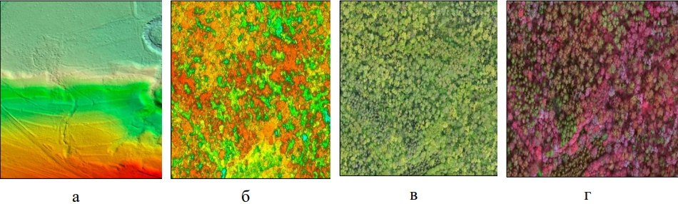 Рисунок 5. Фрагменты материалов дистанционного зондирования Земли, полученных с помощью БВС после фотограмметрической обработки фотоснимков и облака точек воздушного лазерного сканирования: а) цифровая модель рельефа; б) цифровая высотная модель растительности; в) ортофотоплан в естественных цветах (RGB диапазон); г) мультиспектральный ортофотоплан.