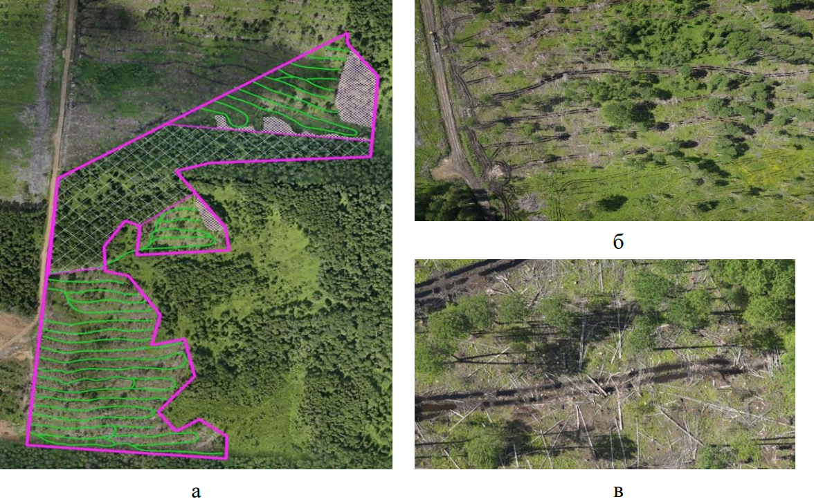 Рисунок 7. Пример оценки качества проведения лесосечных работ: а) ортофотоплан лесосеки, оценка организации лесосеки и ее технологических элементов; б, в) контроль состояния лесосеки после завершения лесосечных работ (оценка «неудовлетворительно»)