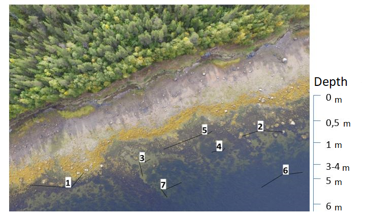 Pic. 6. Some underwater objects, clearly visible in the image taken by Geoscan 401 at the altitude of 50 m at low tide.